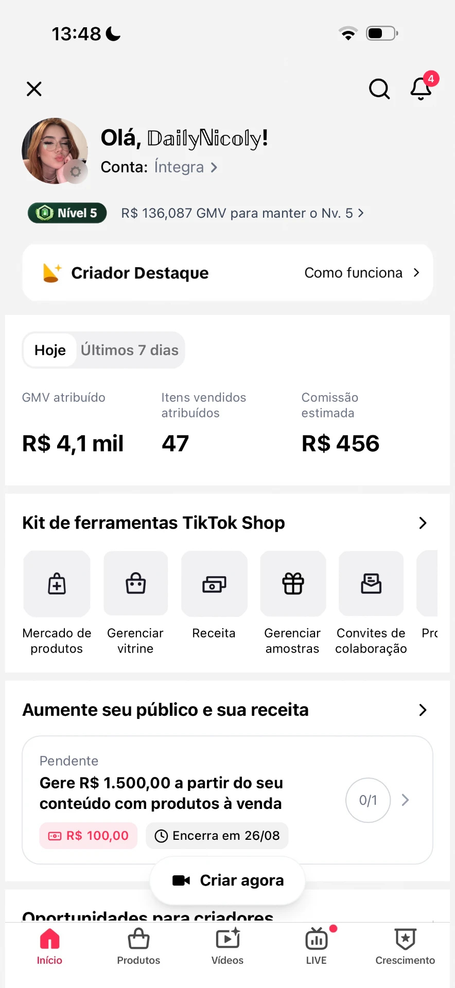 47 itens vendidos em um dia com comissão de R$ 456