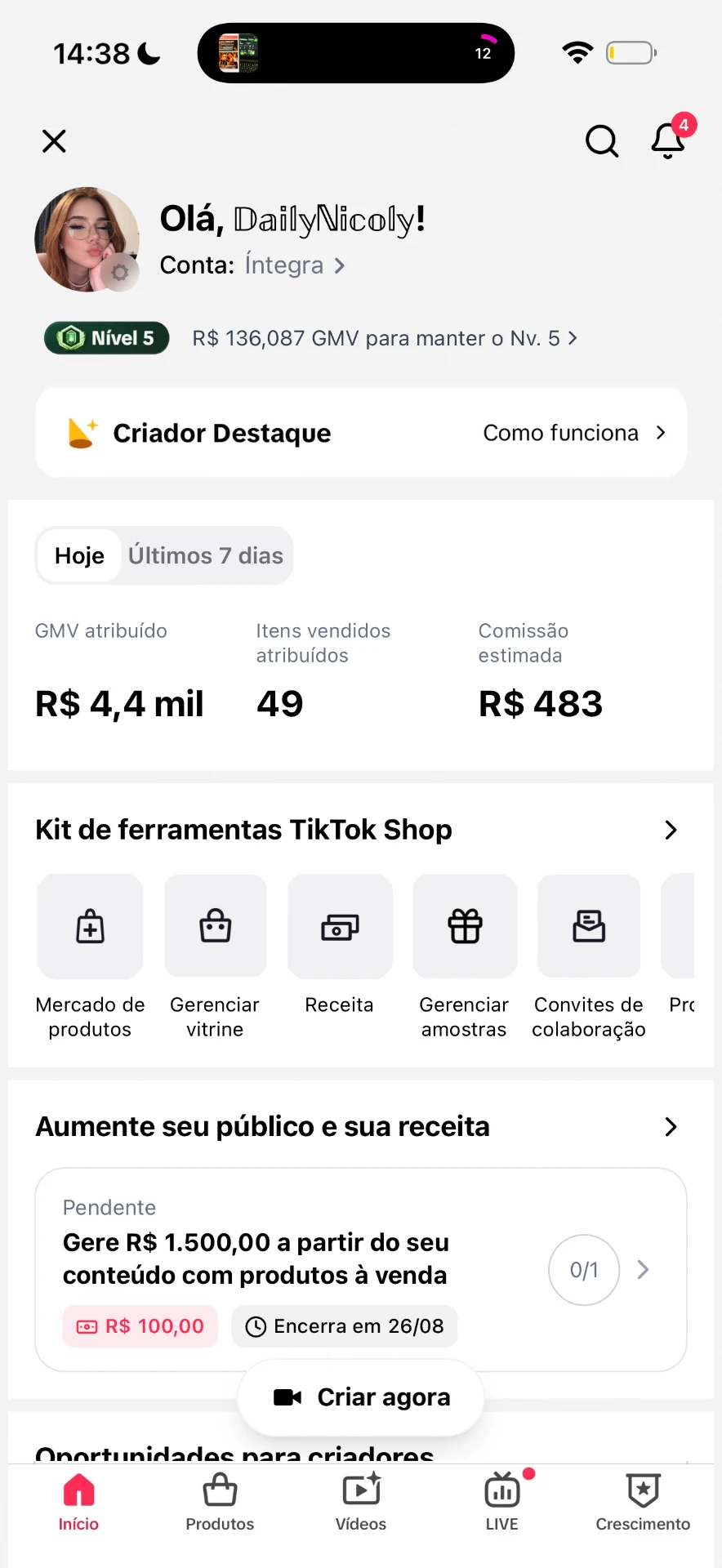 49 itens vendidos em um dia com comissão de R$ 483